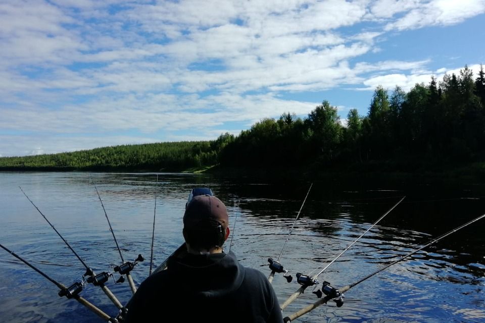 Kalastus, Silvery Gold Fishing, Oulu